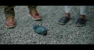 My mom used to say that,
dead bird meant - Parallel