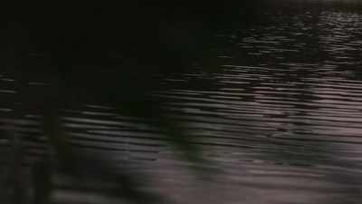 My mother said there
would come a time - My First Summer