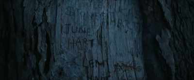 My mother told me that one day - The Lost Flowers of Alice Hart