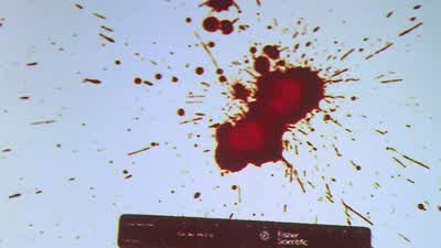 My mother was murdered before my eyes. - Dexter