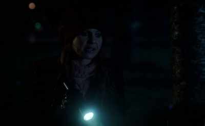 My mother's journal was muddled - Aurora Teagarden Mysteries: Haunted By Murder