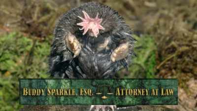 My name is Buddy Sparkle, - Absurd Planet