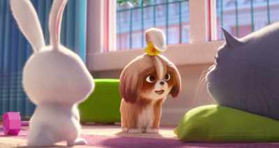 My name is Daisy, and I really
got to talk to him. - The Secret Life of Pets 2