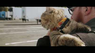 My name is David Durst, - Cat Daddies
