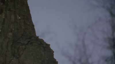 My name is Harold Nutt, and I gotta fly! - Absurd Planet