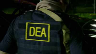 - My name
is Alex Walker, I'm ex-DEA, - Almost Paradise