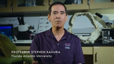 My name is Stephen Kajiura.
I'm a professor - A Year on Planet Earth