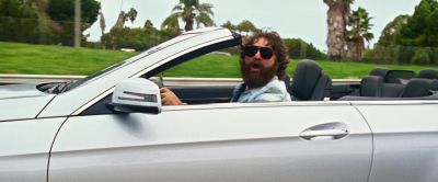 My name's Alan and I bought a giraffe - The Hangover Part III