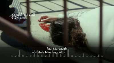 My opinion is,
as far as the Murdaughs - Murdaugh Murders: Deadly Dynasty
