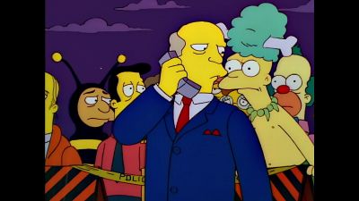 My opinions are as valid - The Simpsons