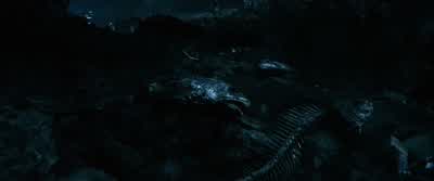 My own. - The Lord of the Rings: The Fellowship of the Ring
