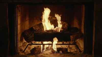 My phone?
Don't you have a cellphone? - Adult Swim Yule Log 2: Branchin' Out