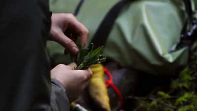My plan for main dish is - Chefs vs Wild