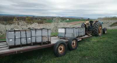 My policy is,
when the bees come, - The Pollinators