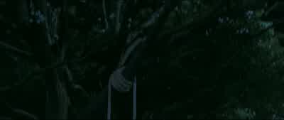 My poor Lady, she's gone nutty. - The Handmaiden
