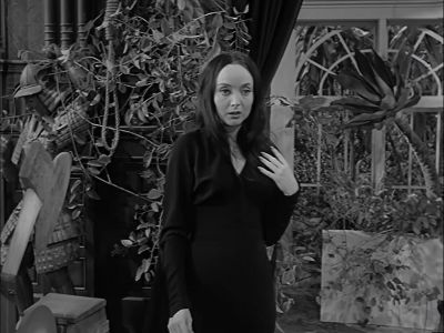 My poor little hemlock. - The Addams Family