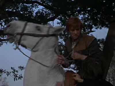 - My reward now, sir.
My reward. - The Fighting Prince of Donegal