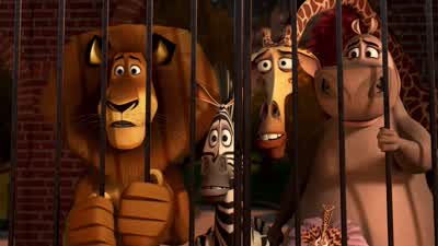My rock looks smaller than I remember itLook at the muralDoesn't actually capture the real thing does itWowI forgot about that wall in between us MelmanMm hmm Was that always there - Madagascar 3: Europe's Most Wanted