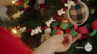 My sister used to make
the paper chains, - A Very Nutty Christmas
