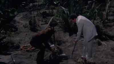My son! - Bring Me the Head of Alfredo Garcia