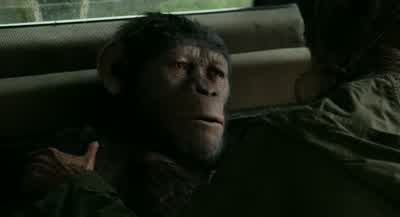 My... son... - Dawn of the Planet of the Apes