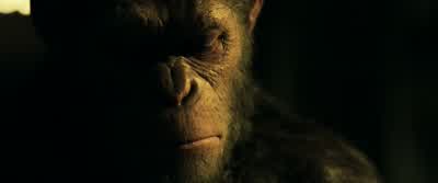 My son... - War for the Planet of the Apes