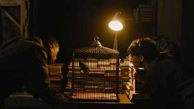 My sturnidae,
from the Latin sturnus. - Fahrenheit 451