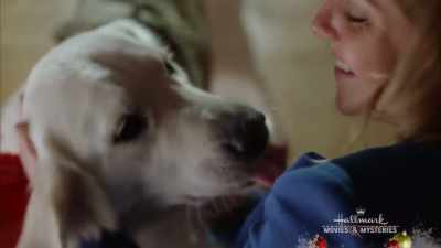 My sweet!
You're really here! - A Veteran's Christmas