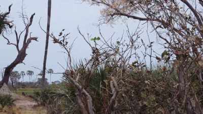 My view in the car was very limited. - In the Footsteps of Elephant