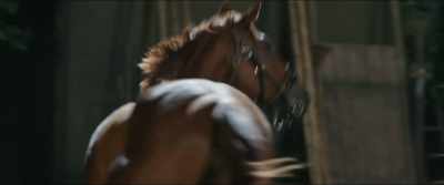 My wonderful, kind, brave, son. - Ride On