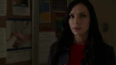 My worst nightmare
turns into my dream come true, - The Blacklist: Redemption