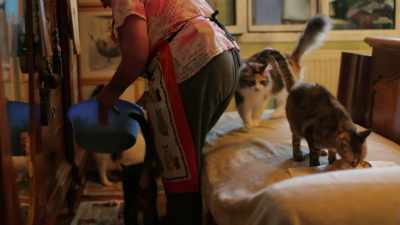 My wounds must be so deeply rooted… - Kedi