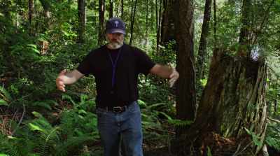 Mycelium that can grow out
even just this big - Fantastic Fungi