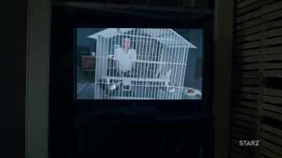 MYFANWY: - The Rook