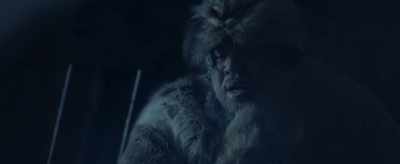 Myles, any news from Nome? - The Great Alaskan Race