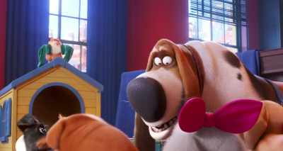 Myron has hidden socks
all over the room. - The Secret Life of Pets 2