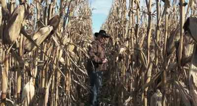 (mysterious creaking) - Dark Night of the Scarecrow 2