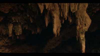 (mysterious music)
(water dripping) - The Emu War
