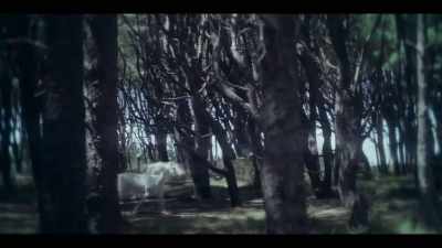 [MYSTIC NEIGHS] - Mystic