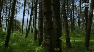Nagorno-Karabakh is,
effectively an off-limits area. - From Russia to Iran: Crossing Wild Frontier