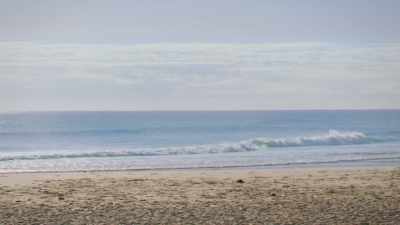 Nah. It's probably
just a lull, you know? - Reef Break