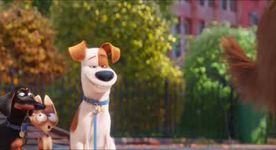 Nah, nah, nah, nah. - The Secret Life of Pets