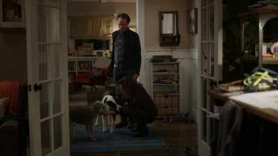 Nah, they're dogs.[both chuckling] - The Unicorn