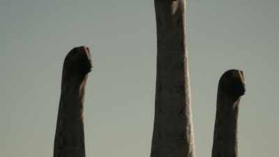 [Naish]
There are some sauropod egg clutches - Prehistoric Planet