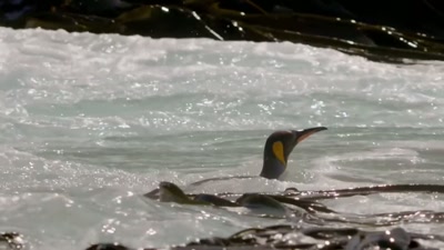 'Naive to danger...' - A Year on Planet Earth