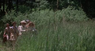 Naked and savage - A Midsummer Night's Sex Comedy