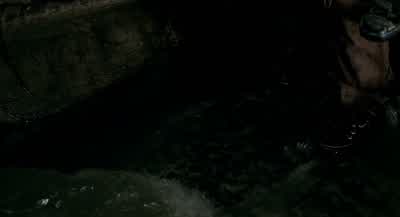 NAM-IL: What is this? - The Host