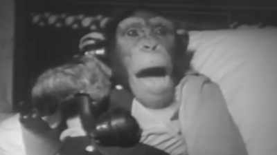 ...named Shemp.
It turned out that nobody liked that. - The Movies That Made Us
