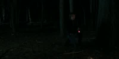Nancy? Nancy? Nancy, where are you? Nancy! Nancy! - Stranger Things