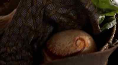 NANDI: What's this? - Tremors 5: Bloodlines
